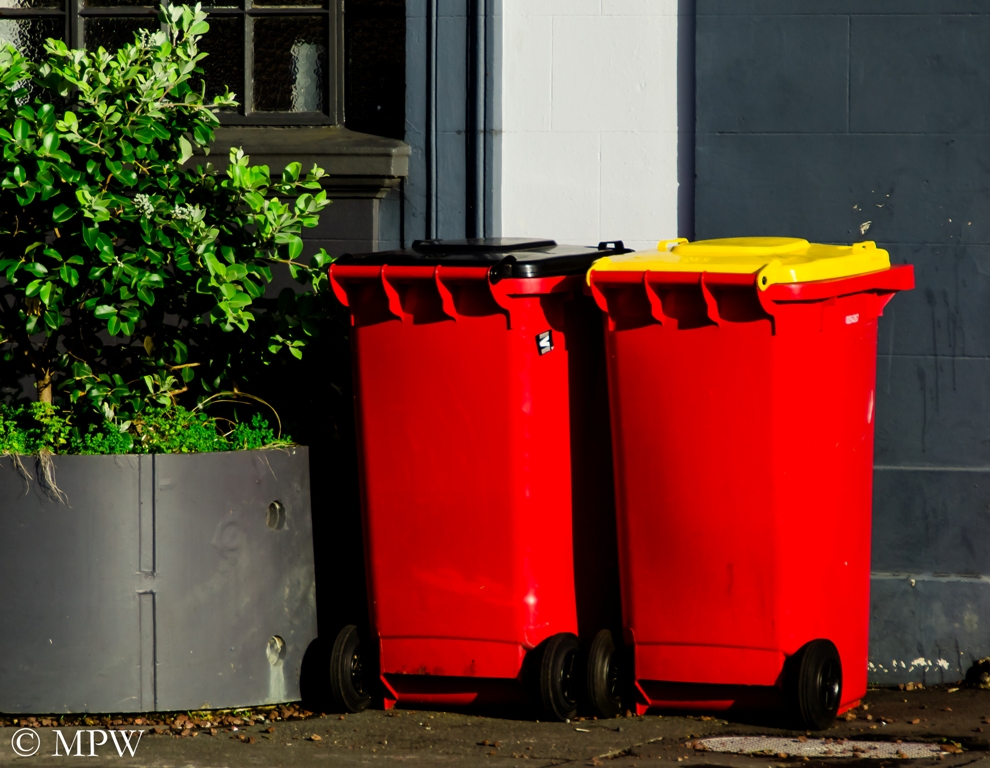 colourful wheelie bins in Auckland City